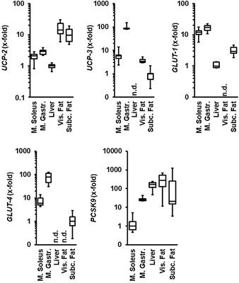 Untypical Metabolic Adaptations in Spontaneously Hypertensive Rats to Free Running Wheel Activity Includes Uncoupling Protein-3 (UCP-3) and Proprotein Convertase Subtilisin/Kexin Type 9 (PCSK9) Expression